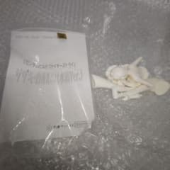 サザキ・カオルコ 水着Ver. ガレージキット ガンダムビルド