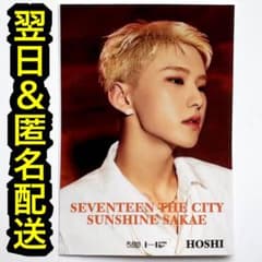seventeen THE CITY キッチンカー 名古屋 ステッカー ホシ - メルカリ