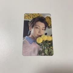 m94968541695_1.jpg?1721555116