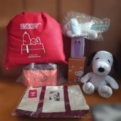 m95517683799_1.jpg?1766466778