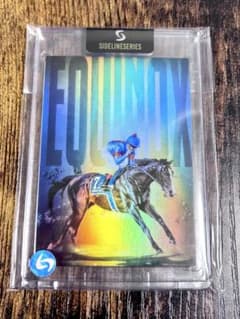 イクイノックス ドバイ 競馬 JRA 世界50枚限定 - メルカリ