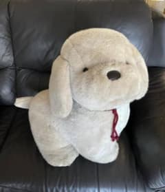 m90742068883_1.jpg?1717155375