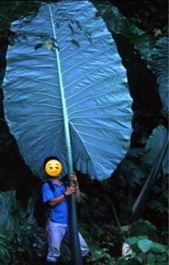 m91325980379_1.jpg?1769577410