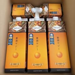 豊潤サジー 1000ml×3本 300ml×2本 - メルカリ