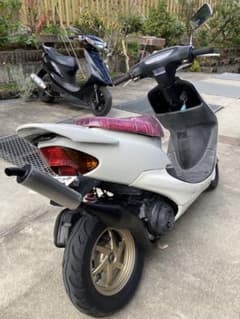 m93337482501_1.jpg?1711793150