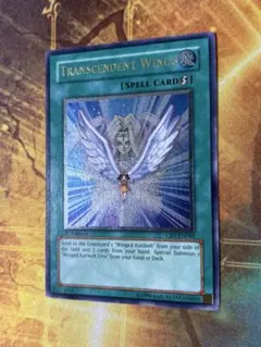 2026年最新】進化する翼 レリーフの人気アイテム - メルカリ