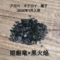 2026年最新】黒火焔の人気アイテム - メルカリ