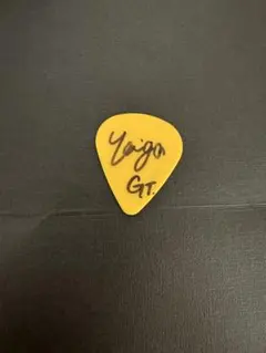 2026年最新】シンガーズハイ ピックの人気アイテム - メルカリ