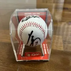 2026年最新】堂林 サインボールの人気アイテム - メルカリ