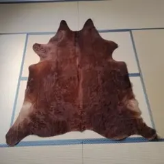 2026年最新】カウラグの人気アイテム - メルカリ