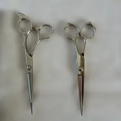 2026年最新】ミズタニシザー 5.5の人気アイテム - メルカリ