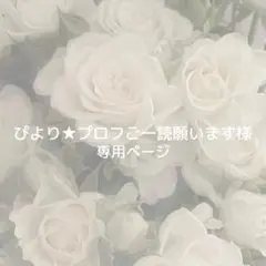 2026年最新】プロフご確認下さいの人気アイテム - メルカリ