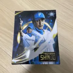 2026年最新】新庄 フィギュアの人気アイテム - メルカリ