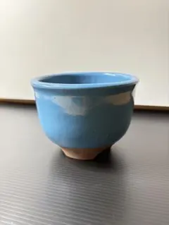 2026年最新】伝市鉢の人気アイテム - メルカリ