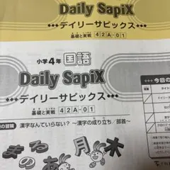 2026年最新】デイリーサピックスの人気アイテム - メルカリ