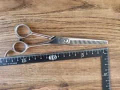 2026年最新】o-k セニングの人気アイテム - メルカリ