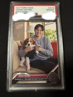 2026年最新】大谷翔平 デコピン psa10の人気アイテム - メルカリ