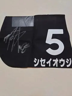 2026年最新】サイン入り ゼッケンの人気アイテム - メルカリ