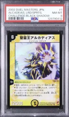 2026年最新】アルカディアス psa10の人気アイテム - メルカリ