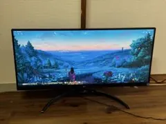 2026年最新】29WP500-Bの人気アイテム - メルカリ