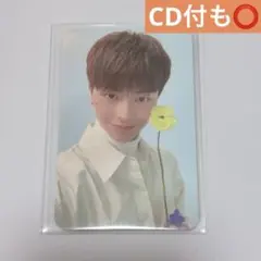 2026年最新】btob ソンジェ トレカの人気アイテム - メルカリ