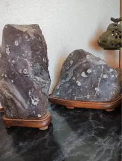 2026年最新】梅花石 門司の人気アイテム - メルカリ