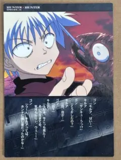 2026年最新】ハンターハンター カードダスマスターズ キルアの人気