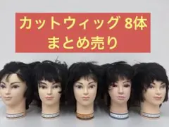 2026年最新】カットウィッグまとめ売りの人気アイテム - メルカリ