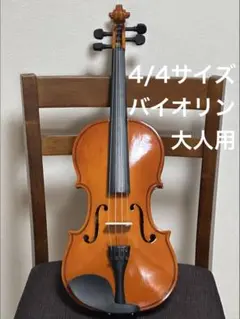 2026年最新】バイオリン4/4の人気アイテム - メルカリ