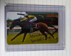 2026年最新】まねき馬倶楽部 レインボーの人気アイテム - メルカリ