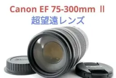 2026年最新】eos kiss x8i 望遠レンズの人気アイテム - メルカリ