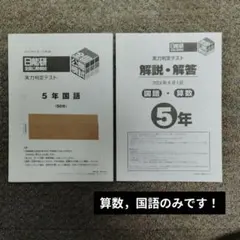 2026年最新】日能研 5年 テストの人気アイテム - メルカリ