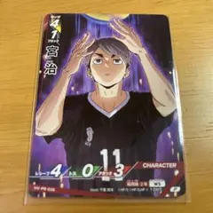 2026年最新】ハイキュー バボカ プロモの人気アイテム - メルカリ