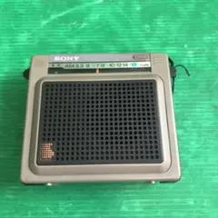 2026年最新】SONY ICR-S71の人気アイテム - メルカリ