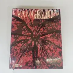 2026年最新】エヴァンゲリオン カードダスマスターズ ワイドの人気