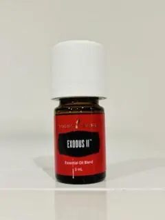 2026年最新】エクソダス ヤングの人気アイテム - メルカリ