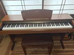 2026年最新】ydp 151 中古の人気アイテム - メルカリ