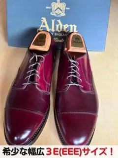 2026年最新】alden 2160の人気アイテム - メルカリ