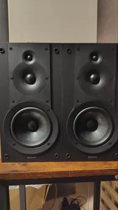 2026年最新】SONY ソニー SS-CS3の人気アイテム - メルカリ