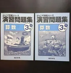 2026年最新】ジュニア予習シリーズ 3年の人気アイテム - メルカリ