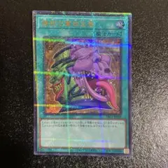 2026年最新】強欲で貪欲な壺 25の人気アイテム - メルカリ