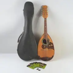 2026年最新】国島 マンドリンの人気アイテム - メルカリ