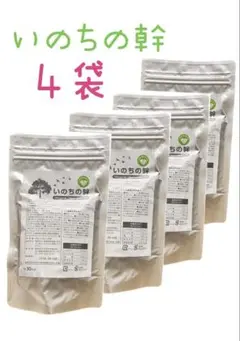 2026年最新】いのちの幹の人気アイテム - メルカリ