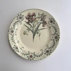 2026年最新】ショワジールロワ 切り花の人気アイテム - メルカリ