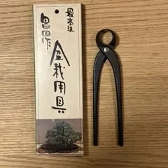 2026年最新】昌国 盆栽の人気アイテム - メルカリ