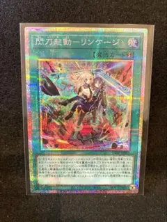 2026年最新】リンケージ 遊戯王 シークレットの人気アイテム - メルカリ