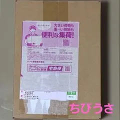 2026年最新】ポケモンセンターオンライン テラスタルフェスの人気