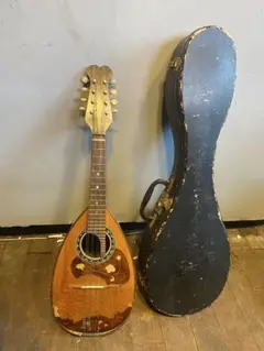 2026年最新】国島 マンドリンの人気アイテム - メルカリ