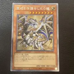 2026年最新】聖域を守護せし光の龍 エクストラシークレットの人気