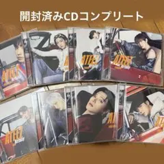 2026年最新】 the birthday レコードの人気アイテム - メルカリ